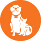 Dog and cat