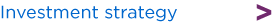 Investment strategy Investment strategy