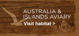 Australian Aviary. Visit Habitat.