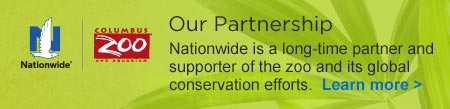 Our Partnership Nationwide is a long-time partner and supporter of the zoo and its global conservation efforts. Learn more