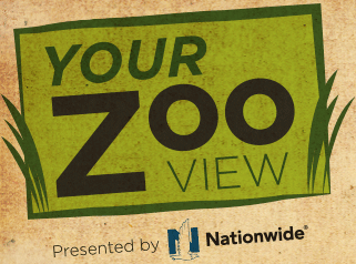 Your Zoo View Presented by Nationwide Insurance
