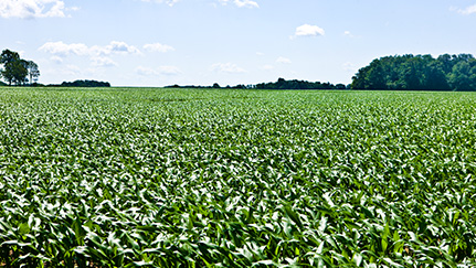2024 farm planning: Five things for a successful crop season