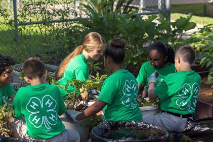 Nationwide and National 4-H Council team up in ag education