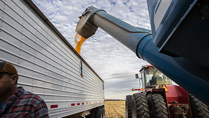 Five days, five ways to boost health and safety on your farm