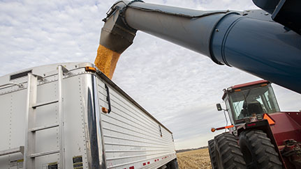 New law includes potential tax, financial benefits for farmers and ranchers