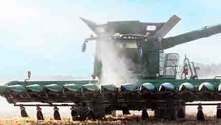 Five days, five ways to boost health and safety on your farm