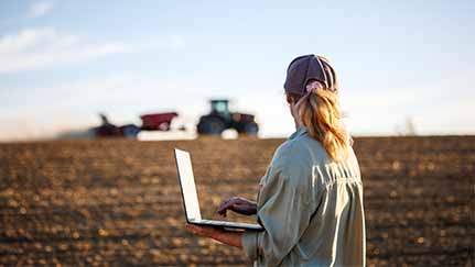 Woman with laptop in farm field