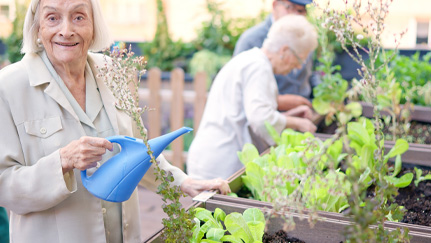 seniors gardening