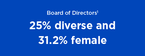 Board of Directors, 25% diverse and 31.2% female