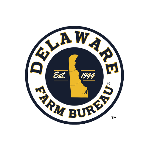 DEFB Logo_Color