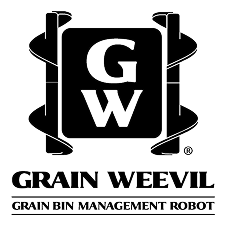 Grain Weevil
