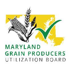 Maryland grain