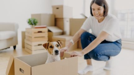 How to negotiate a pet with your landlord