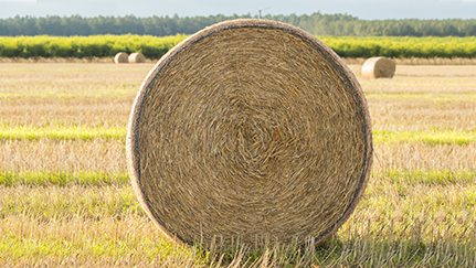 Reduce hay fire risk, maintain hay quality with HAYTECH