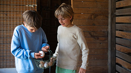 Child carrying pallet of eggs on a farm