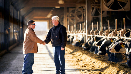 two men shaking hands in cow stable