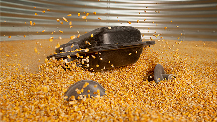 Grain Weevil robot keeps farmers out of grain bins