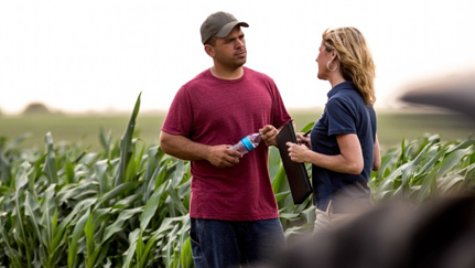 man and woman standing in a cornfield
