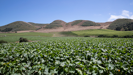 Unlock hidden farmland value with legacy nutrient deductions