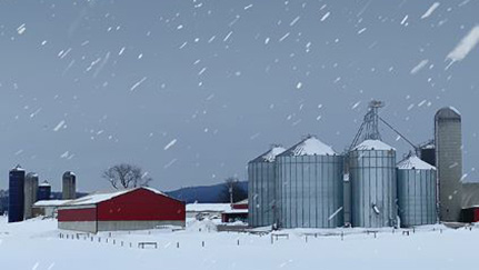 Protect your farm from severe winter weather hazards