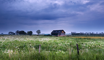 Gpo Auto Farm