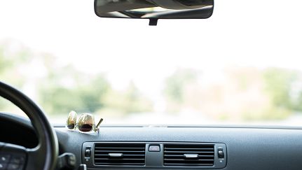 interior car dashboard with sunglasses