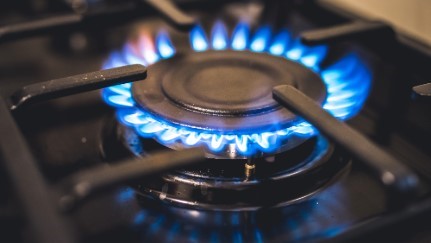 A lit gas stove with a blue flame.