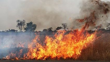 Cinco consejos para preparar tu finca para incendios de césped