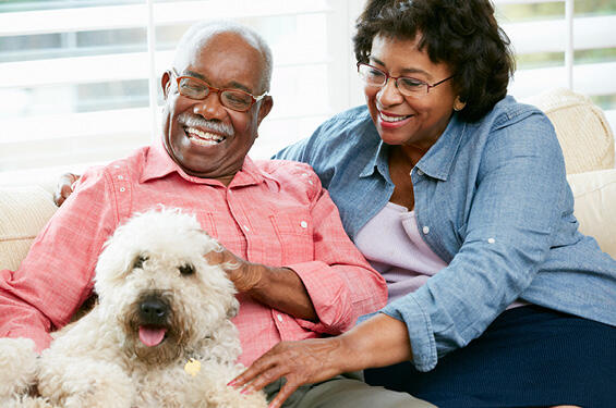 Couple around retirement age sitting on their couch with their dog and smiling.