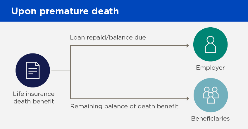 Diagram of a collateral assignment split dollar arrangement, if the key employee dies prematurely; description above