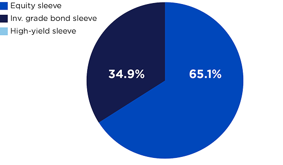 Pie graph shows 65.1% equity sleeve and 34.9% investment grade sleeve.