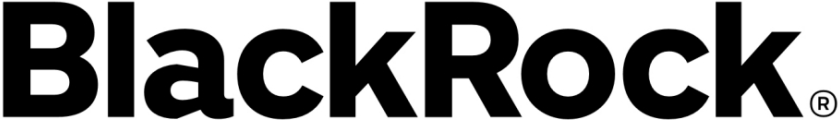 BlackRock Investment Management, LLC logo